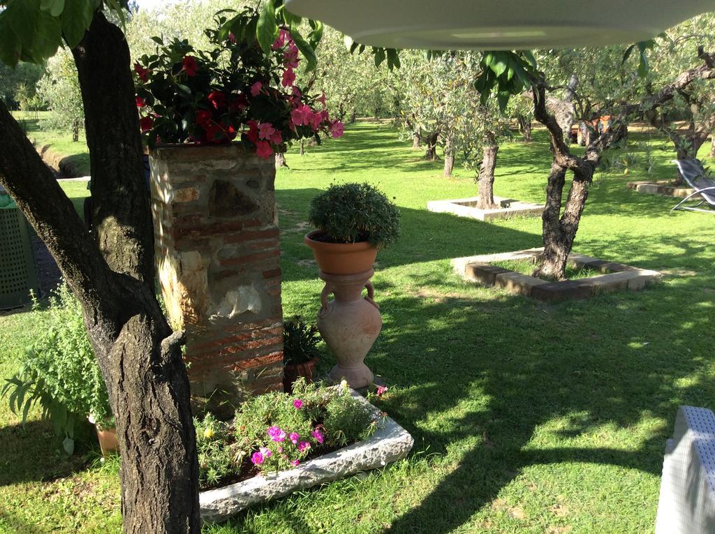 Tenuta Fagnani Lukka Zewnętrze zdjęcie