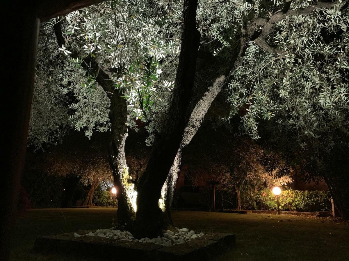 Tenuta Fagnani Lukka Zewnętrze zdjęcie